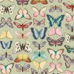 ANTIQUE BUTTERFLIES DCX11888-SAGE-D